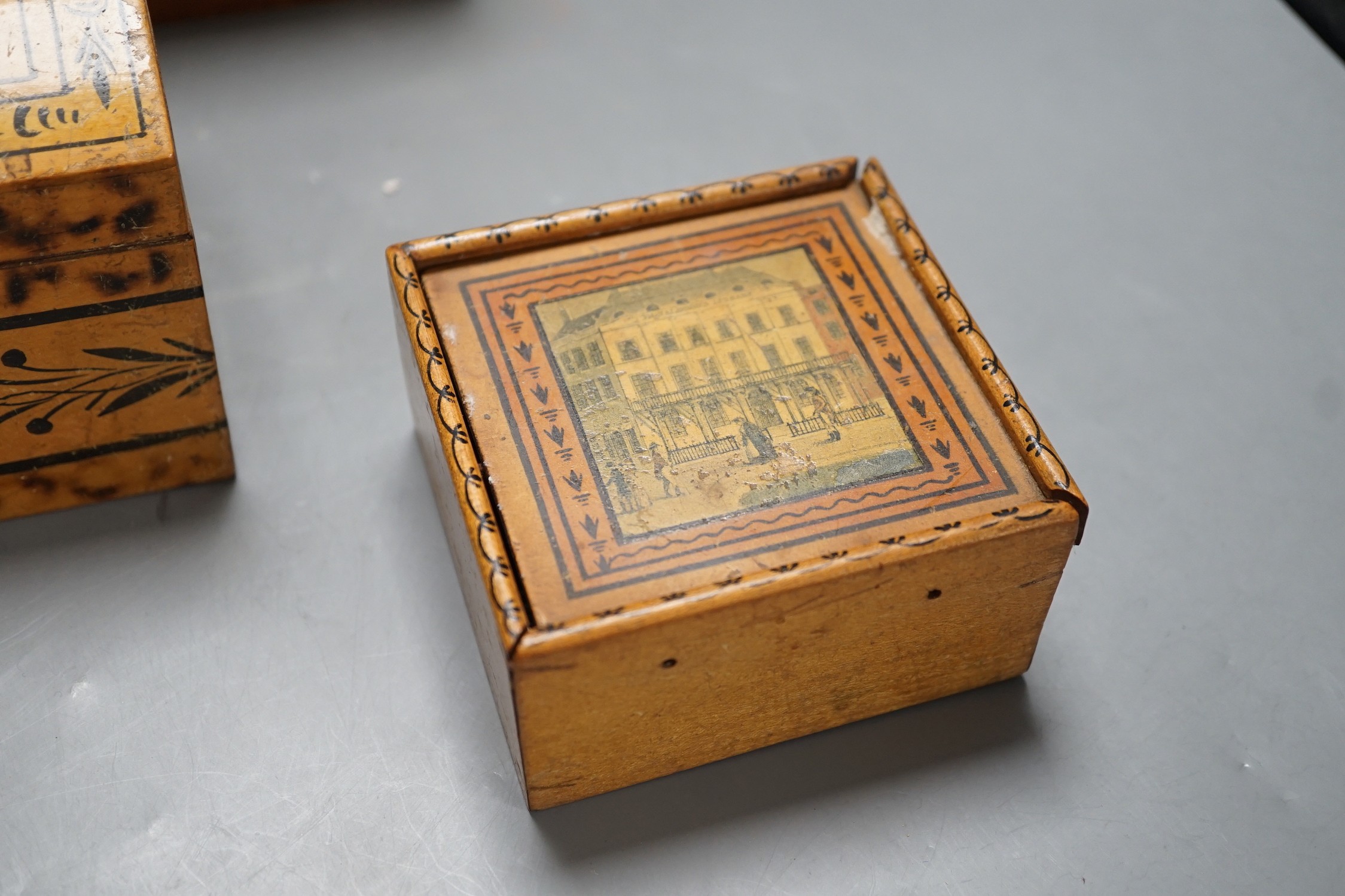 A selection of treen boxes, to include a house shaped money box, 13cm high, a 19th century ash? dome top tea caddy, with ivory finial to the cover (5)